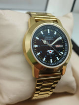 Citizen Eagle 7 Automatic – Japan Movement, Men’s Luxury Watch National Watches