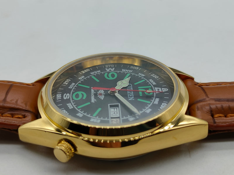 Citizen Automatic