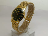 Hmt sona Mechanical Handwinding Movement gold plated Para Jewels Analog Dial Wrist Watch For Men