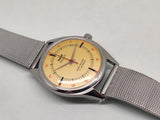 HMT Pilot