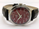 HMT Pilot