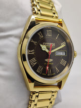 Citizen Automatic