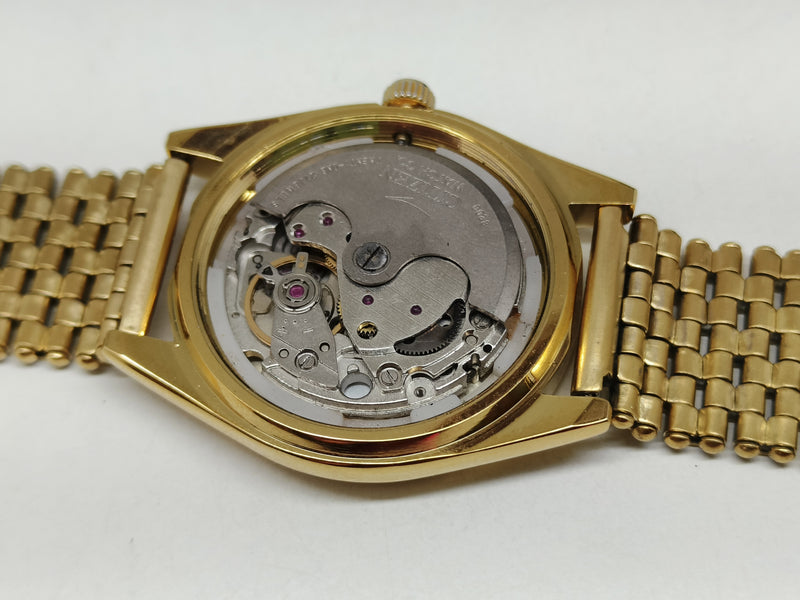 Citizen Eagle 7 Automatic – Vintage Style Watch with Japan Movement